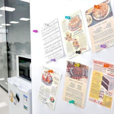 8 Cores Variadas Ímãs Permanentes Push Pin Ímãs de Frigorífico Forte para Escritório