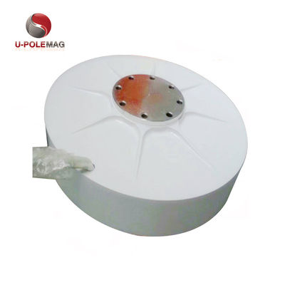 Ímã de terras raras para gerador de vento de rotor interno AFPMG520-1.0KW/90RPM personalizado