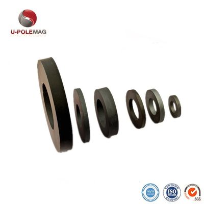 Anel magnetizado diametralmente para alto-falante profissional