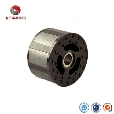 Anel magnetizado diametralmente para alto-falante profissional