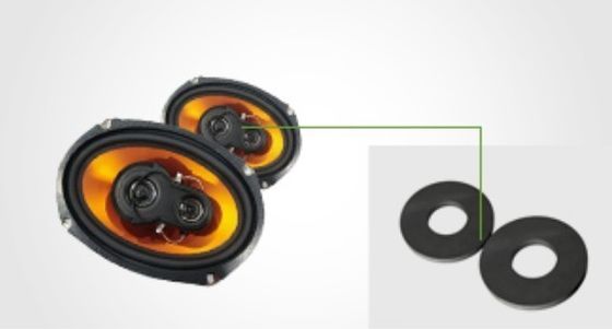 Anel magnetizado diametralmente para alto-falante profissional